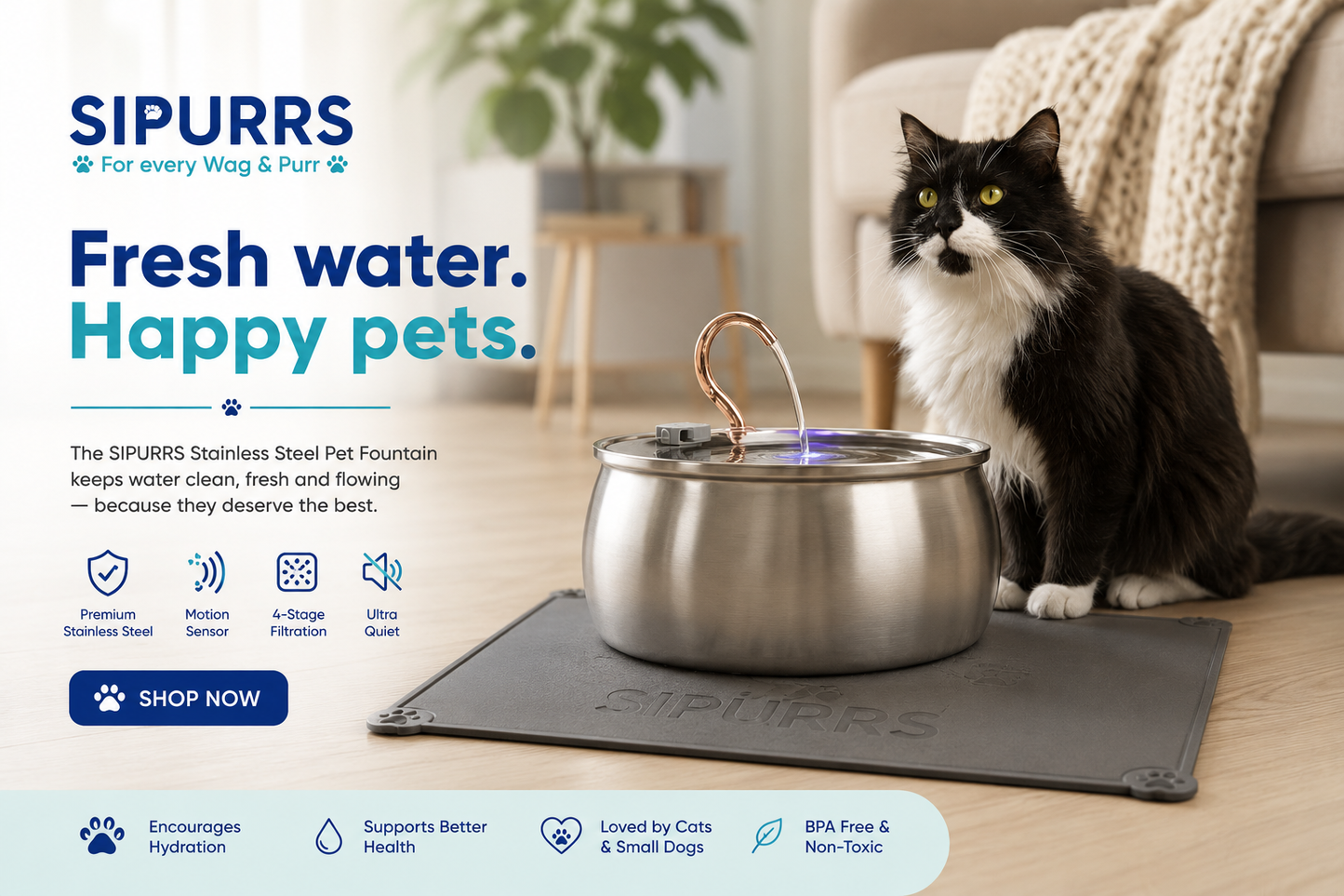 Sipurrs™ Cat Wellness Kit | Fountain-4L